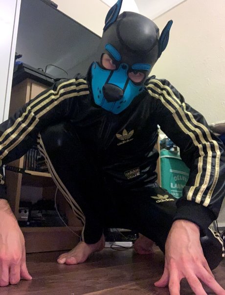 Pup Valto onlyfans archive