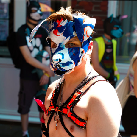 Quentin the pup ass onlyfans