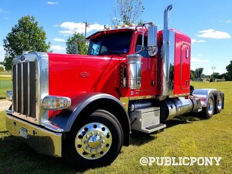 Public Pony free onlyfans