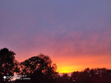 Mey_ leaked onlyfans