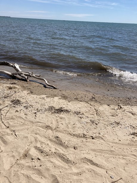 PrincessGlitterSparkles onlyfans naked