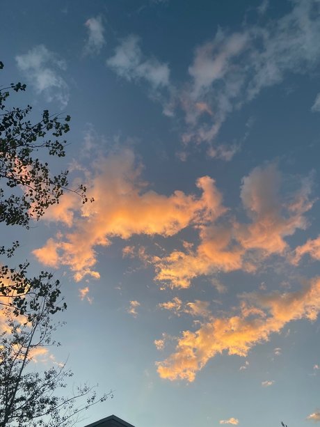 Prince Ambrose Quartz onlyfans nude porn