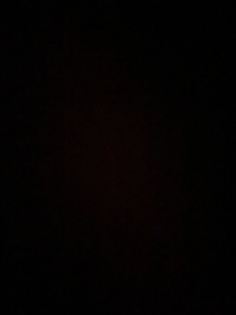 Primrose_ onlyfans xx