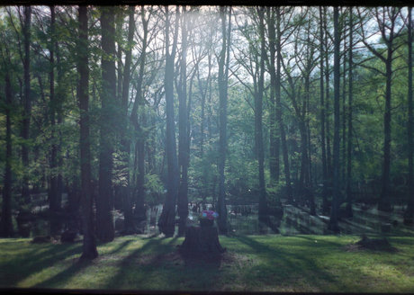 Riley Chase onlyfans leak ass