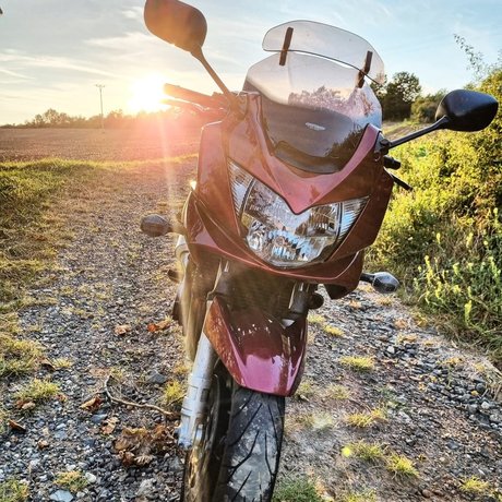 Rieslinger xxx only fans