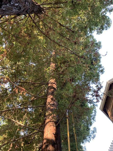 Elonbust new leaked onlyfans