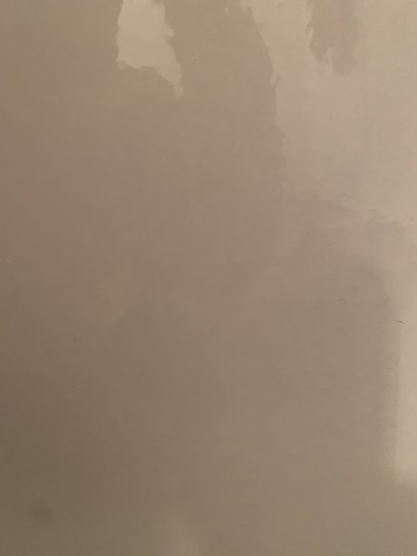 BIGMEAT onlyfans sex