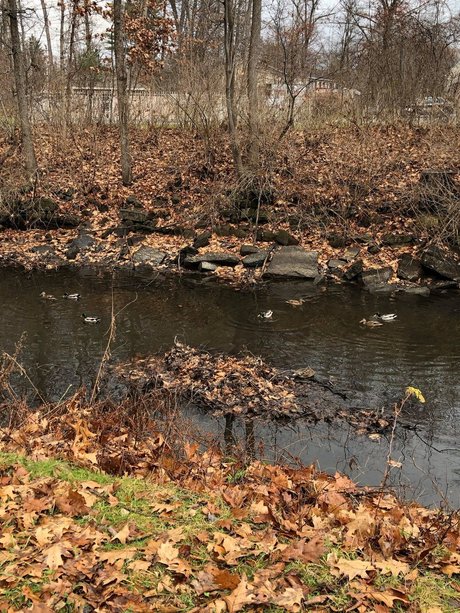 firehose onlyfans nudes leaked