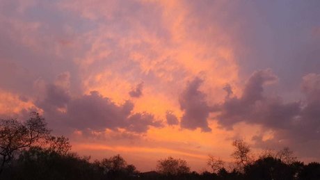 Dreamgirl Montana onlyfans leaks nude