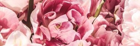 redhoneybaby onlyfans pics