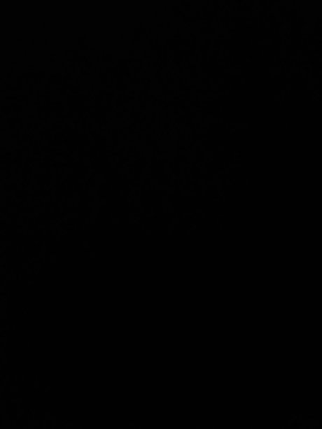 Ray Rocci onlyfans leak naked