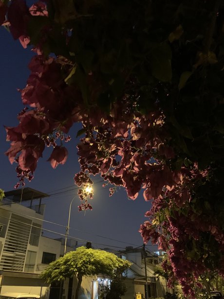 Amm onlyfans leaks nude