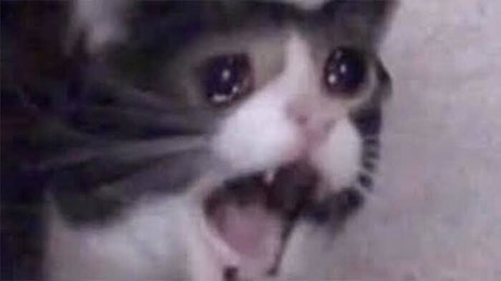 Rookao feet onlyfans