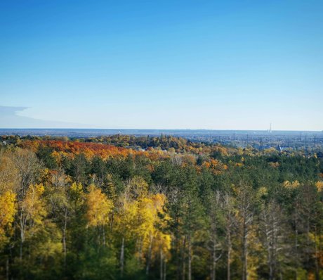 Roman Fox onlyfans sex