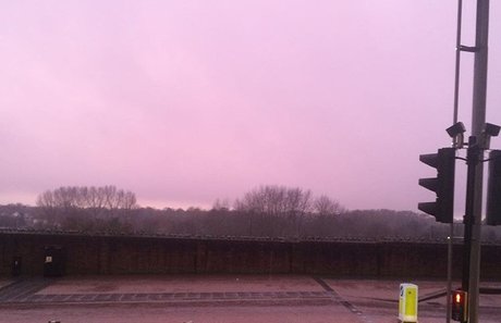 Roman Hawk onlyfans xxx