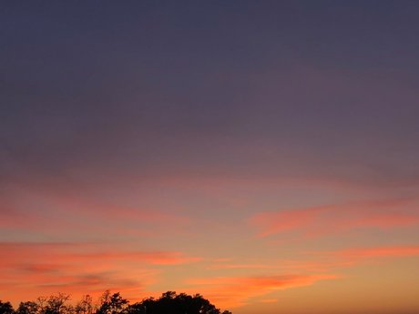 Mars Collapses onlyfans leaked xxx