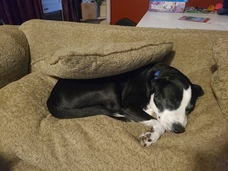 MarriedinLawrence porn onlyfans