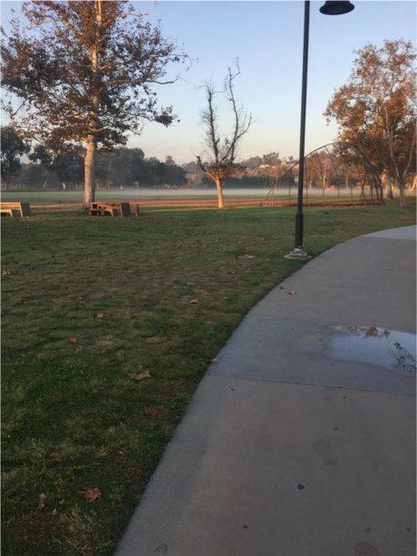 Pegasus leak onlyfans porn