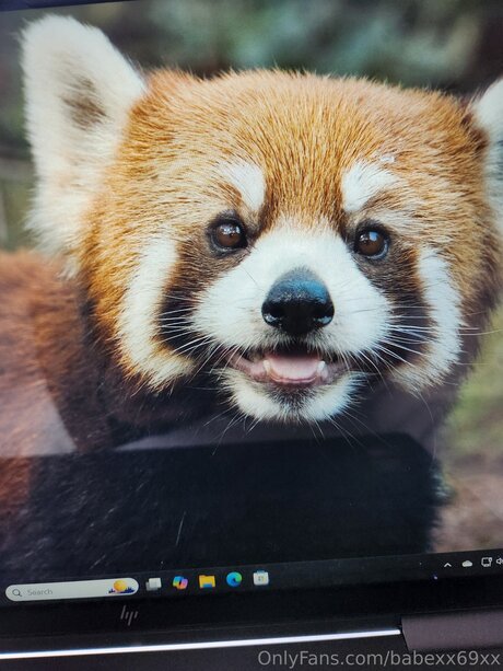 BabeXX69XX naked onlyfans leaked