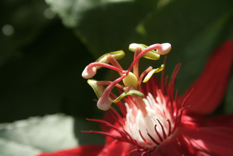 Baby Sugarpills onlyfans nudes