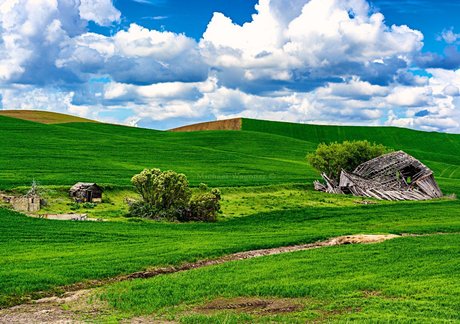 Bakamic Photography sex onlyfans