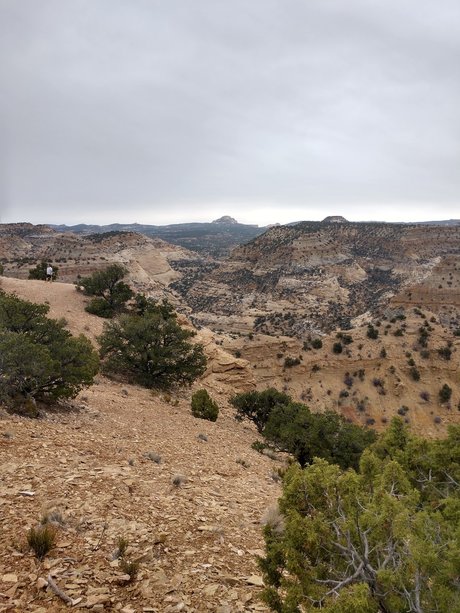 Bamfurlough onlyfans porn leaked