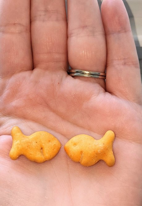 Banana amp amp Milkshakes nude onlyfans pics