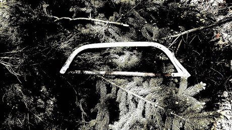 Matt Bikinis free only fans