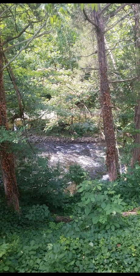 Mason Alexander onlyfans nide