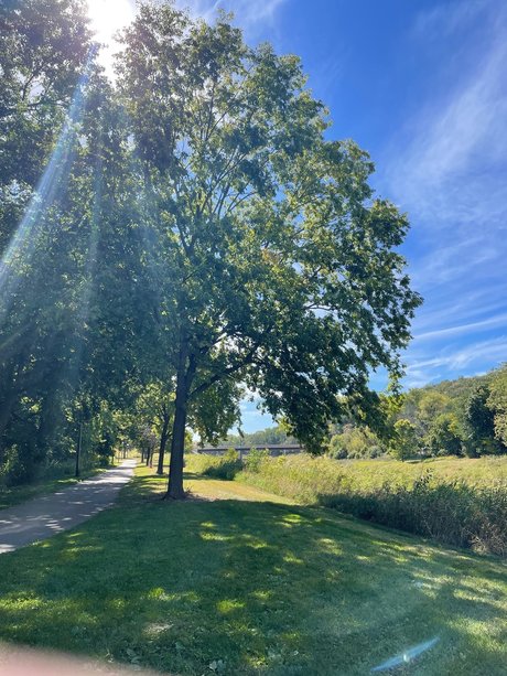 Mary s Land onlyfans exposed