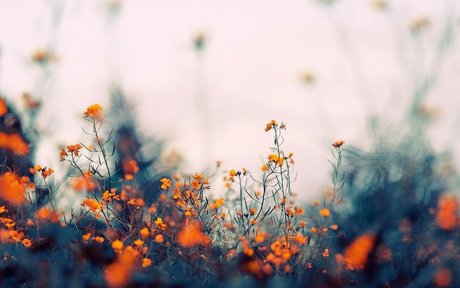 Mary Divine leaked onlyfans pics