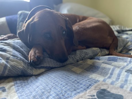 Hank Christy onlyfans leak sex