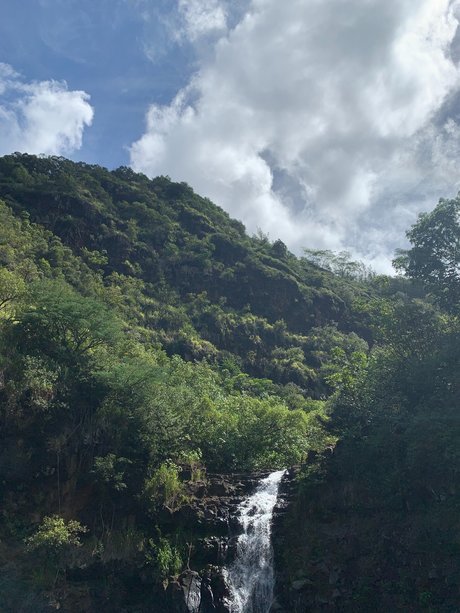 Beau Rose onlyfans porn leaks