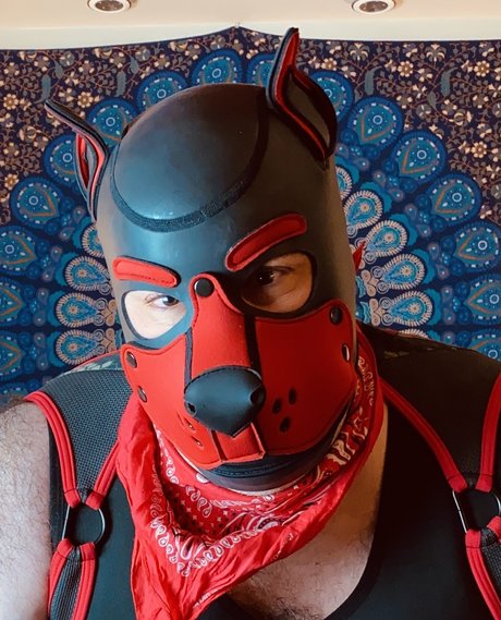 Bear Pup Gaymer onlyfans xxx