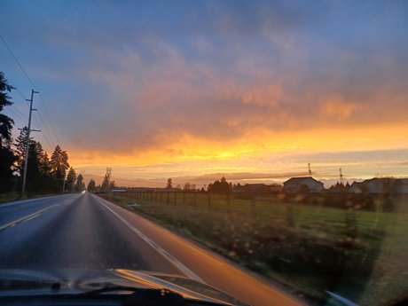 Mir onlyfans free porn