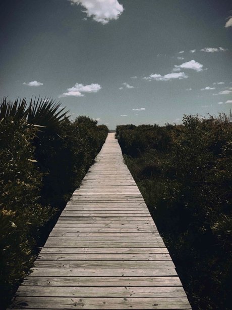 NC Med Student nude onlyfans leaks