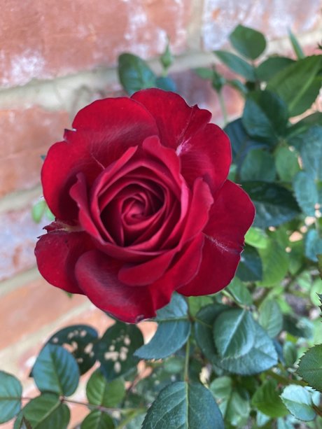 Gardeningtips new onlyfans leaks