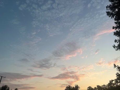 May Jailer topless onlyfans