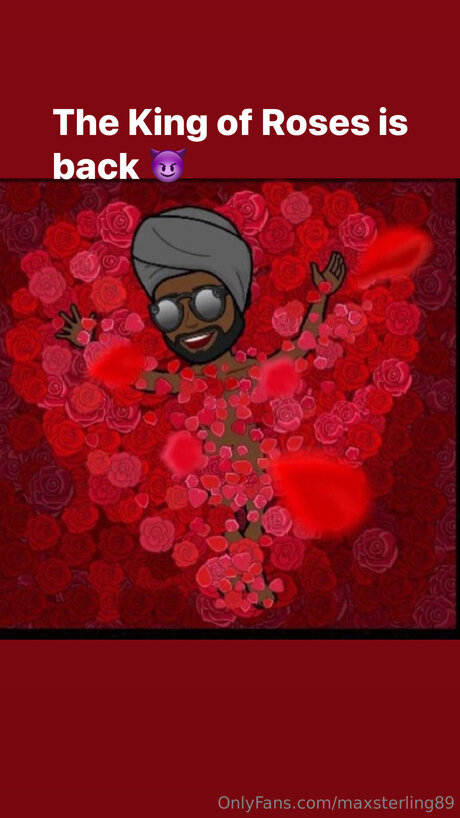 Max Sterling Profile pic