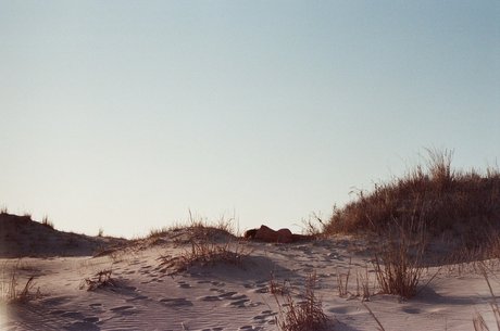 meredith onlyfans leaked