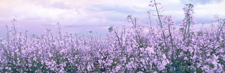 mimichuu leaked onlyfans.