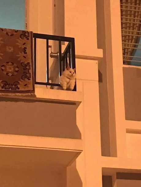 Misaki naked onlyfans pics