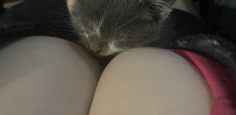 succuhunnybunny porn leaked onlyfans