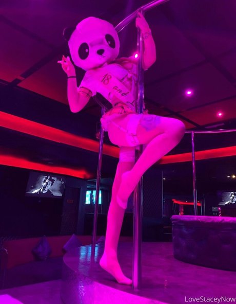 lovestaceynow Profile pic