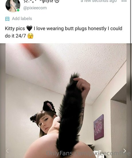 pixieecomfree onlyfans nude