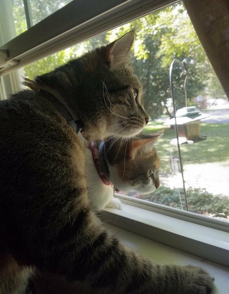 sqregina porn only fans