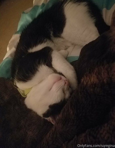 sqregina porn onlyfans leak