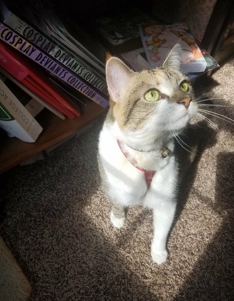 sqregina ass onlyfans