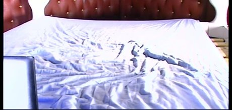 Babestation studio66 onlyfans.