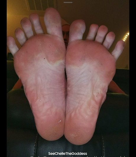 seechellethegoddess onlyfans joi